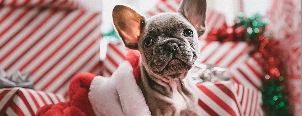 メインビジュアル4